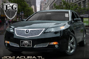 Acura/12TLHeavyMesh1402010412.jpg